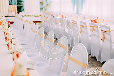 Decorative White Mantles And Colored Ribbons On Chairs At Festive Table. Stock Photo