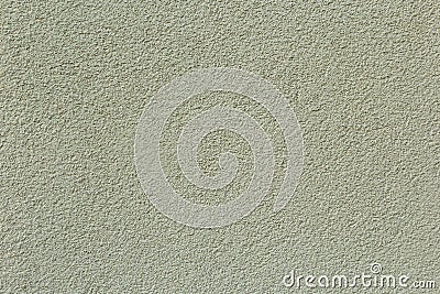 Decorative white wall plaster pattern stylized in bark beetle texture. The white texture of the surface of the wall covered with Stock Photo