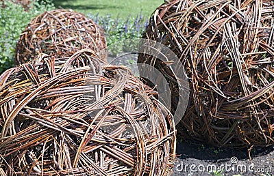 Decorative wicker spheres from tangled brushwoods Stock Photo