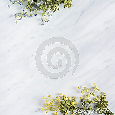 Decorative wild flower branches on marble worktop Stock Photo