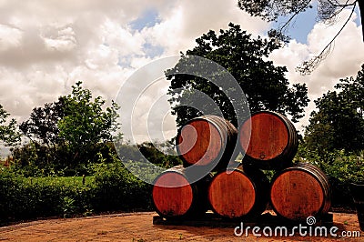 Decorative wine barrels in a garden Stock Photo