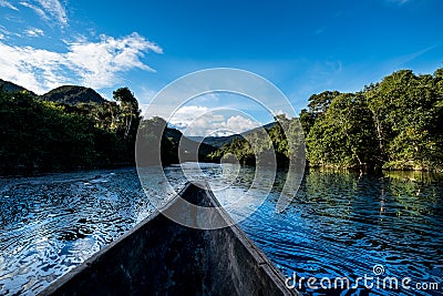 Deep in the Amazon Jungle Stock Photo