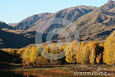 Deep autumn Stock Photo