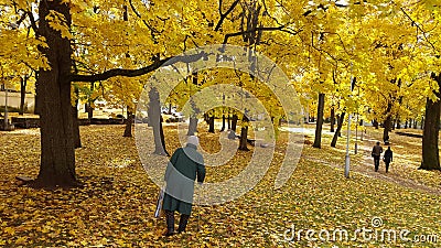 Deep autumn Stock Photo