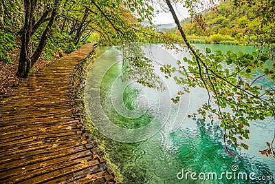 Deep forest stream. Crystal clear water. Plitvice lakes, Croatia Stock Photo