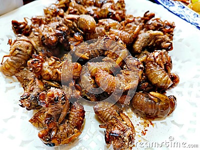 Deep fried cicadas Stock Photo