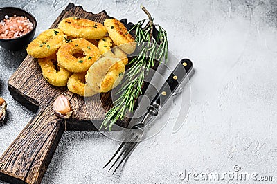 Deep fried crispy squid and onion rings breaded. White background. Top view. Copy space Stock Photo