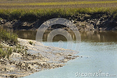 Deep mud and peat of Blackbeard Creek, Harris Neck, Georgia. Stock Photo