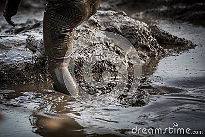 Deep muddy water with feet splashing and climbing out of the mud Stock Photo