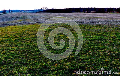 Deep, Rich Green Grass Set Against Rolling Farmland Creates Dramatic Sunset Vista Stock Photo