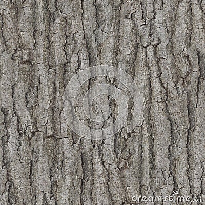 Deep Rough Bark Pattern Texture Stock Photo