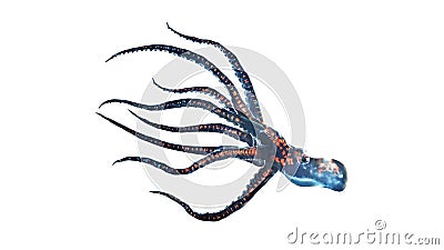 Deep sea octopus isolated Stock Photo