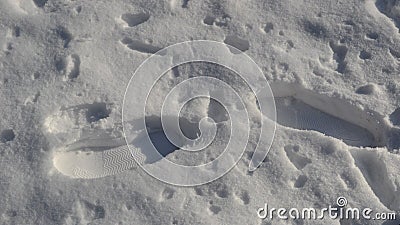 Deep shoeprints in the fresh snow Stock Photo