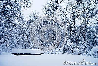 Deep Snow on trampoline Editorial Stock Photo