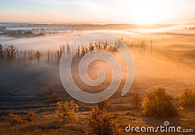 Deep thick fog in the valley. Long shadows from the trees. Atmospheric beautiful dawn. Aerial drone photo. Amazing Stock Photo