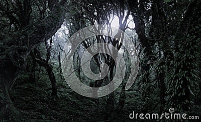 Deep tropical forest in darkness Stock Photo