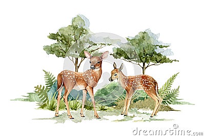 Deer animal in forest landscape. Watercolor illustration. Deer couple standing in forest scene. Rustic print image Cartoon Illustration