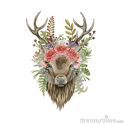 Deer animal portrait with flowers. Watercolor illustration. Hand drawn stag front view. Forest beautiful deer head Cartoon Illustration