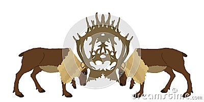 Deer battle vector illustration isolated on white background. Reindeer powerful buck with huge antlers. Vector Illustration