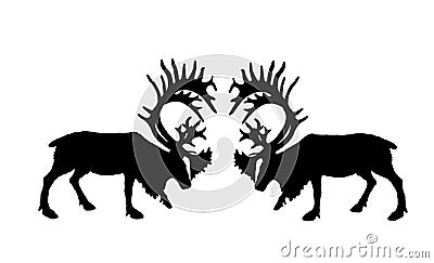 Deer battle vector silhouette illustration isolated on white background. Reindeer powerful buck with huge antlers. Rein deer fight Vector Illustration