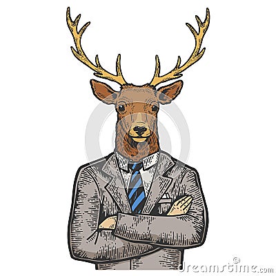Deer businessman color sketch engraving vector Vector Illustration