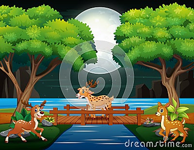 Deer cartoons playing in the night scene Vector Illustration