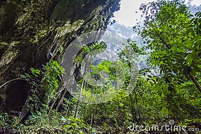 Deer Cave Mulu National Park Borneo Stock Photo