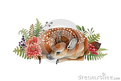 Deer cub in flowers decor. Beautiful fawn hand drawn watercolor image. Sleeping bambi illustration. Wild young deer Cartoon Illustration