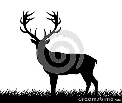 Deer with great antler Cartoon Illustration