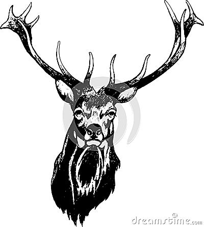 Deer head Vector Illustration