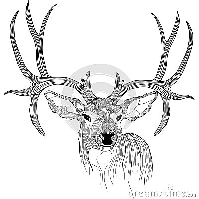 Deer head Vector Illustration