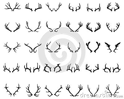 Deer horns Stock Photo