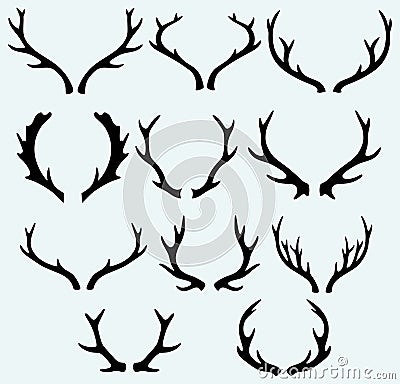 Deer horns Vector Illustration