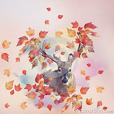 Deer male portrait with autumn concept Stock Photo