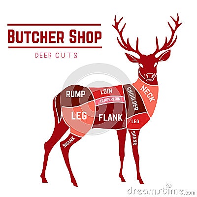 Deer meat cuts in color Vector Illustration