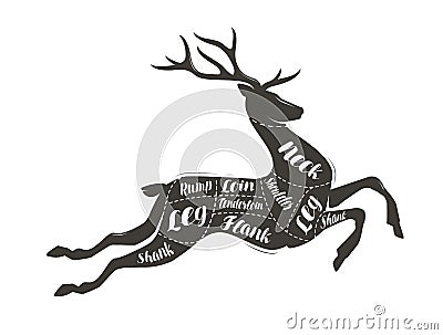 Deer meat cutting. Menu for restaurant or butcher shop. Vector illustration Vector Illustration