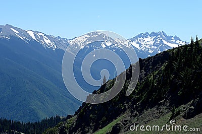 Deer Park Olympic Mountain View right panel Stock Photo