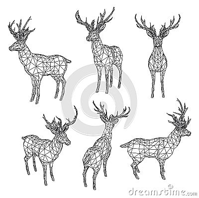 Deer polygonal lines illustration Cartoon Illustration