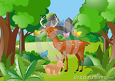 Deer and rabbit in the woods Vector Illustration