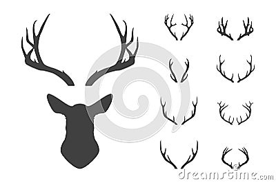 Deer s head and antlers set. Vector Illustration