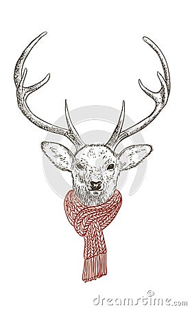 Deer in scarf Vector Illustration
