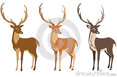 Deer set Vector Illustration