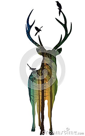 Deer 2 Vector Illustration