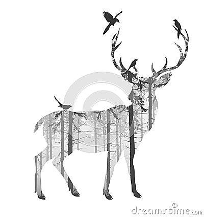 Deer Vector Illustration