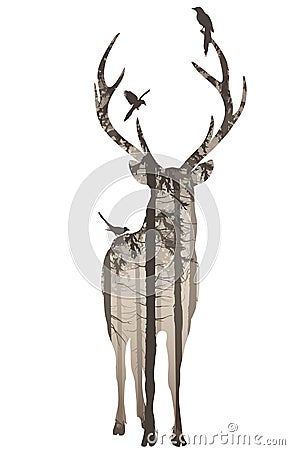 Deer 2 Vector Illustration