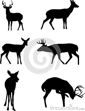 Deer Silhouettes Vector Illustration