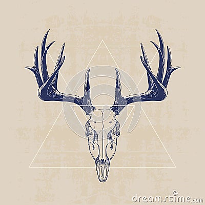 Deer skull Vector Illustration