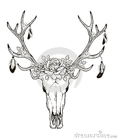 deer skull vector stock vector - image: 63208798