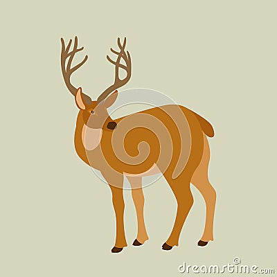 Deer vector illustration style Flat Vector Illustration