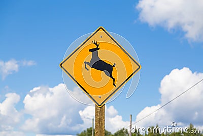 Deer Warning Sign Stock Photo